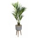 Bac Design Palmier en pot