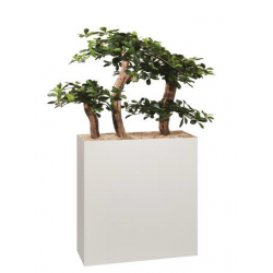 Jardinière haute BONZAÎ H 74 cm