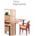 Table Ergo Technik  4 places: 2 Prof 1100/1500 mm