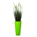 Bac Rond Haut Herbes des dunes